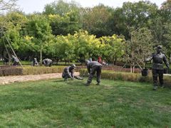 -武清南湖绿博园