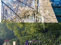 -玛利娅蒙特梭利双语幼儿园·托育(百家湖直营园)