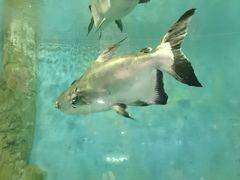 -大连老虎滩海洋公园