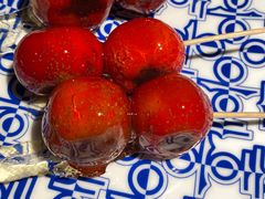 -喜悦烤鸭·新京菜(王府井店)