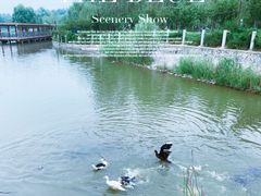 -廊坊市自然公园