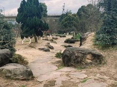 -秀丽东方
