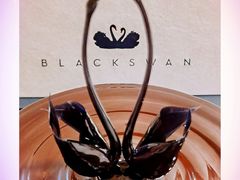 -BLACKSWAN黑天鹅(环球店)