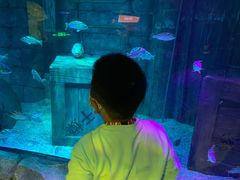 -沈阳海洋探索中心