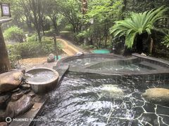 -明月山天沐温泉度假村