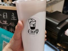 -白日梦奶茶