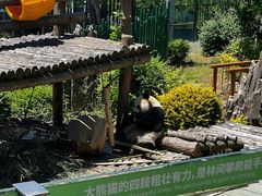 -大连森林动物园