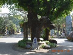 -云南勐巴娜西珍奇园