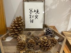 -猫里有甜