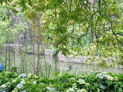 -广西壮族自治区药用植物园