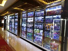 -UME影城(安贞DTS:X店)