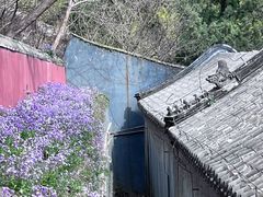 -潭柘寺景区