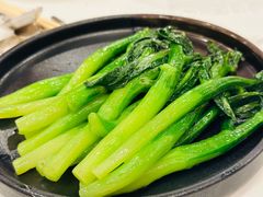 -翠园(北京王府中环店)