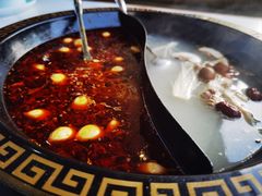 -尚品火锅(正阳路店)