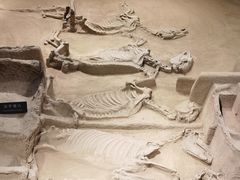 -洛阳周王城天子驾六博物馆