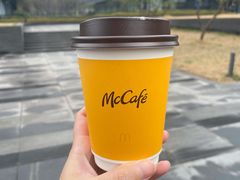 -麦当劳(药谷大道店)