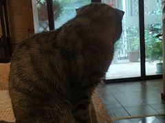 -隅cafe(傅厚岗店)