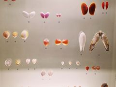 -青岛贝壳博物馆