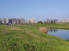-洋湖国家湿地公园