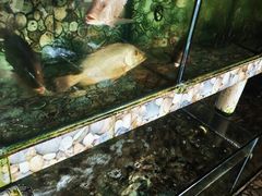 海鲜池-乡味海鲜农家菜·巽寮土窑鸡(地道美食店)