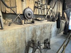 -西双版纳原始森林公园