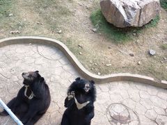 -无锡动物园·太湖欢乐园