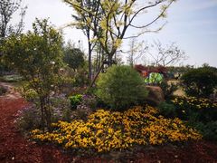 -上海长兴岛郊野公园