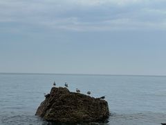 -长岛南北长山旅游景区