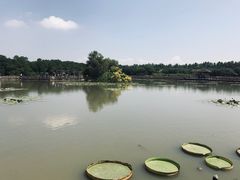 -大湾区中央湿地公园
