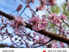 -三里河公园