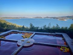 -天目湖涵田半山温泉