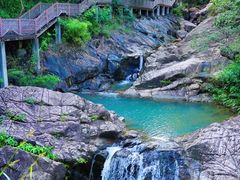 -广州白江湖森林公园