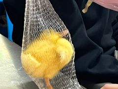 -有间冰室(侨港风情街店)