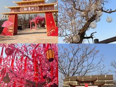 -开封城墙景区
