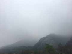 -少华山国家森林公园