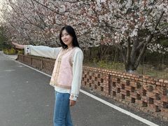 -樱花山风景区