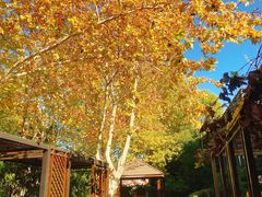 -春晖园度假酒店温泉