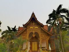 -西双版纳总佛寺