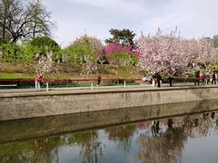 -海棠花溪(元大都城垣遗址公园)