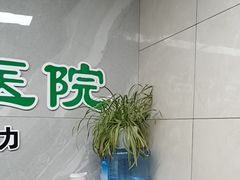 -半岛宠物医院24小时(白果林店)