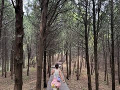 -北京十三陵国家森林公园蟒山景区