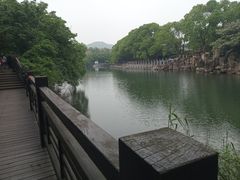 -白马涧龙池景区