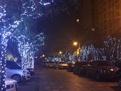 -上海浦东星河湾酒店