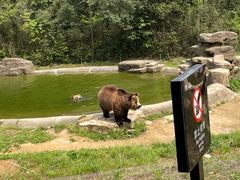 -杭州野生动物世界