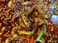 -烧哥美蛙肥肠鱼火锅·十五年社区店