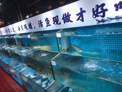 水产区-胖姐渔村(中源大道店)