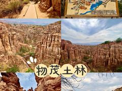 -元谋土林景区(物茂土林)