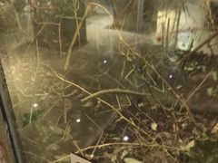 -上海昆虫博物馆