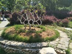 -武汉紫薇都市田园