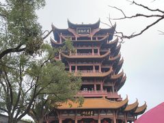 -小凤庭·地道湖北菜武昌鱼·藕汤(38年黄鹤楼店)